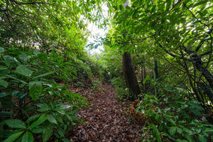 Photo 59- click for photo gallery